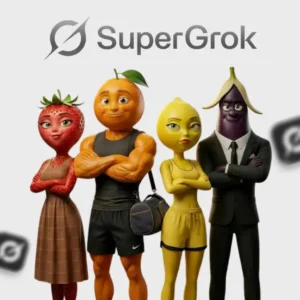 SuperGrok Privada